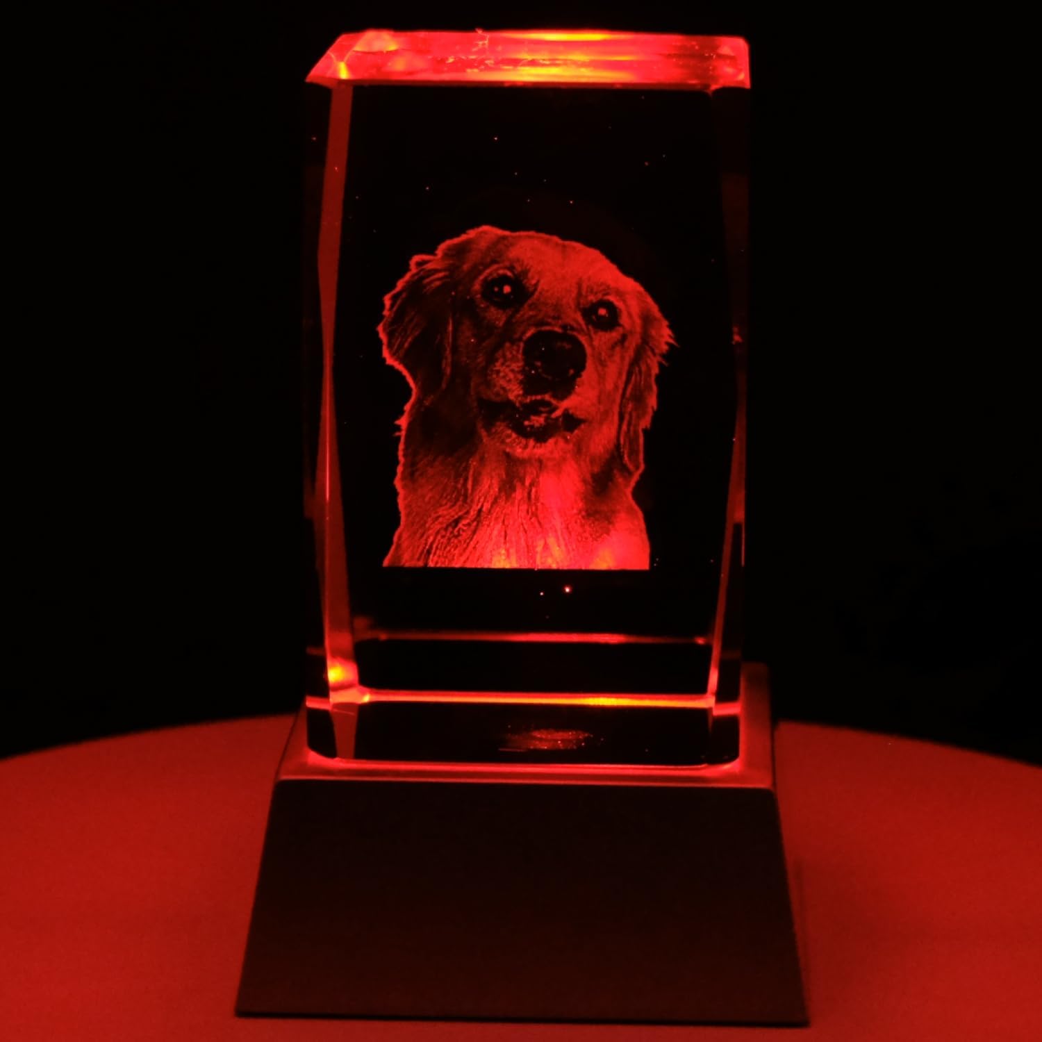 Kaltner Präsente Stimmungslicht - Ein ganz besonderes Geschenk: LED Kerze/Kristall Glasblock / 2D-Laser-Gravur Tiere Hunde/Beleuchtung in Regenbogen Farben