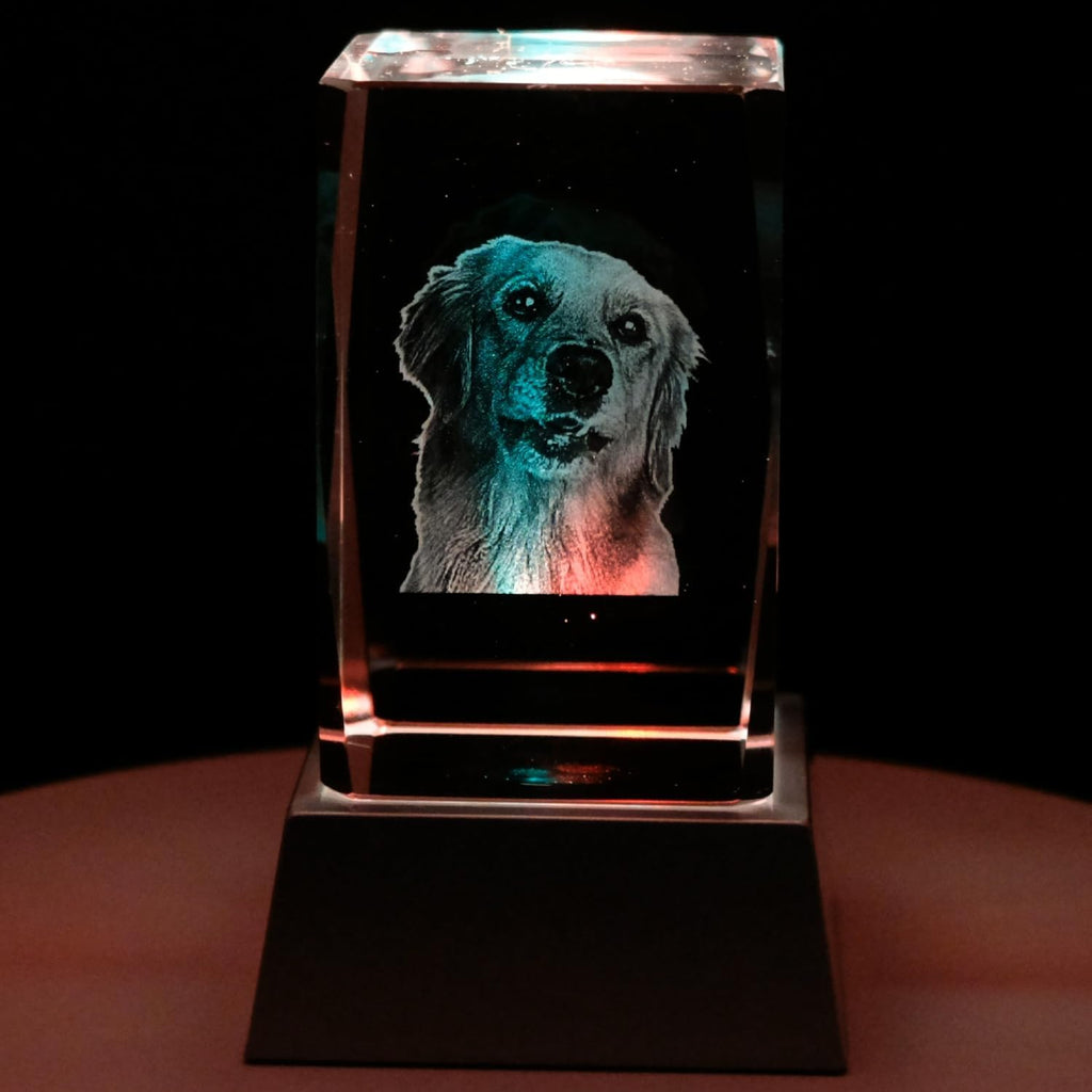 Kaltner Präsente Stimmungslicht - Ein ganz besonderes Geschenk: LED Kerze/Kristall Glasblock / 2D-Laser-Gravur Tiere Hunde/Beleuchtung in Regenbogen Farben