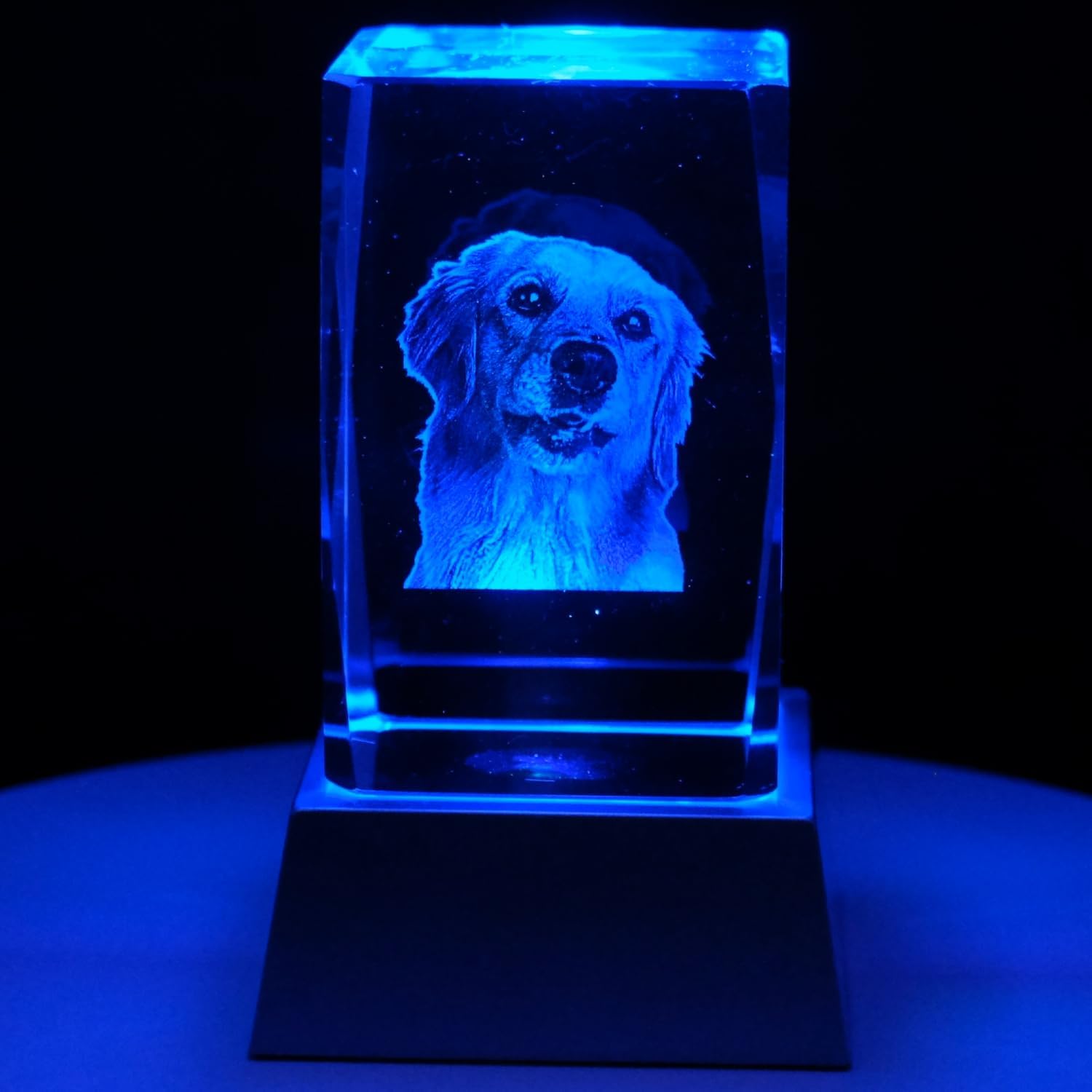 Kaltner Präsente Stimmungslicht - Ein ganz besonderes Geschenk: LED Kerze/Kristall Glasblock / 2D-Laser-Gravur Tiere Hunde/Beleuchtung in Regenbogen Farben
