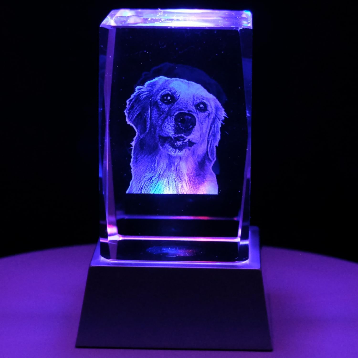 Kaltner Präsente Stimmungslicht - Ein ganz besonderes Geschenk: LED Kerze/Kristall Glasblock / 2D-Laser-Gravur Tiere Hunde/Beleuchtung in Regenbogen Farben