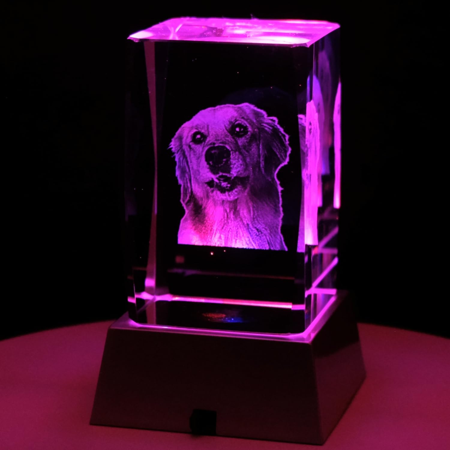 Kaltner Präsente Stimmungslicht - Ein ganz besonderes Geschenk: LED Kerze/Kristall Glasblock / 2D-Laser-Gravur Tiere Hunde/Beleuchtung in Regenbogen Farben