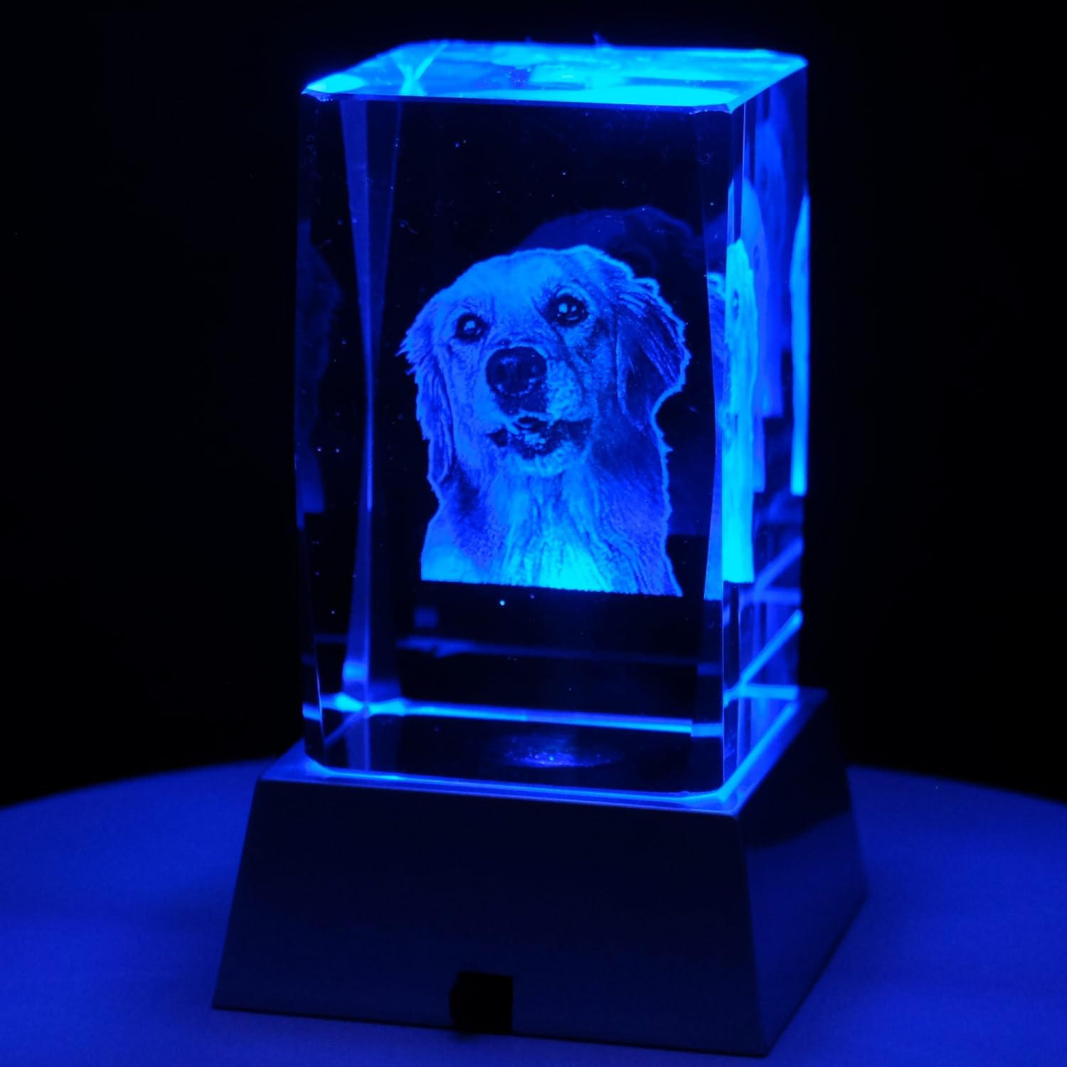 Kaltner Präsente Stimmungslicht - Ein ganz besonderes Geschenk: LED Kerze/Kristall Glasblock / 2D-Laser-Gravur Tiere Hunde/Beleuchtung in Regenbogen Farben