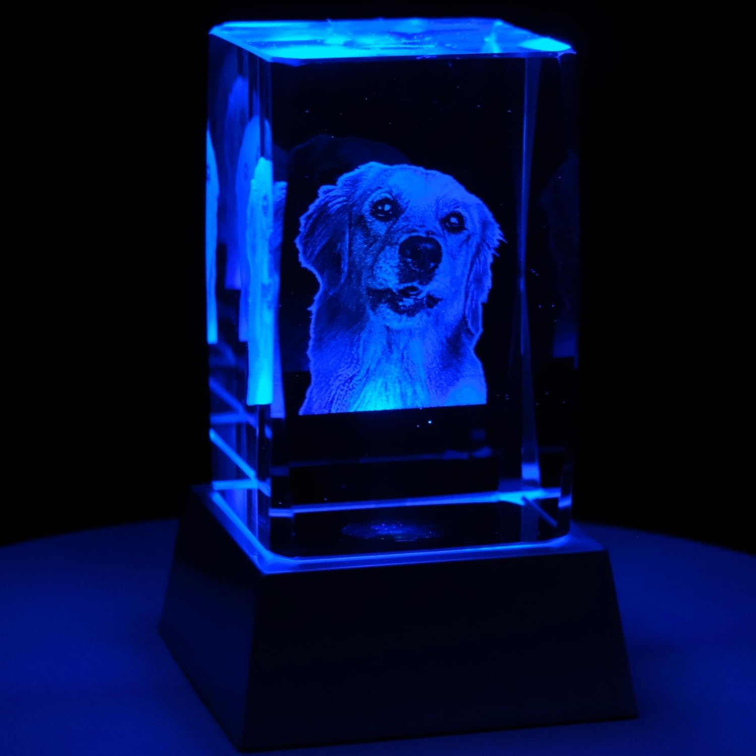 Kaltner Präsente Stimmungslicht - Ein ganz besonderes Geschenk: LED Kerze/Kristall Glasblock / 2D-Laser-Gravur Tiere Hunde/Beleuchtung in Regenbogen Farben